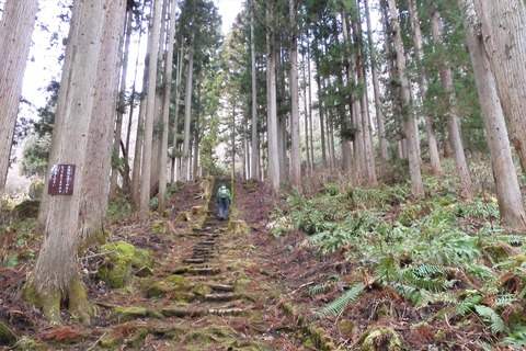 dscn0046