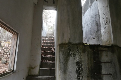 p1100142
