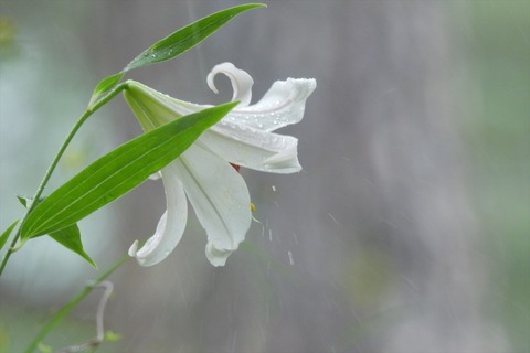 dscn2228