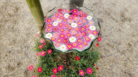 mikio095134a