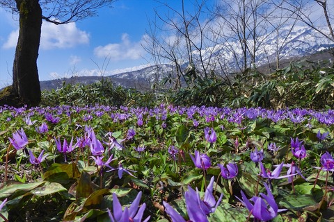dscn0449