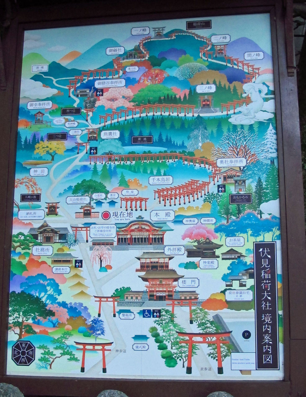 イメージ 16