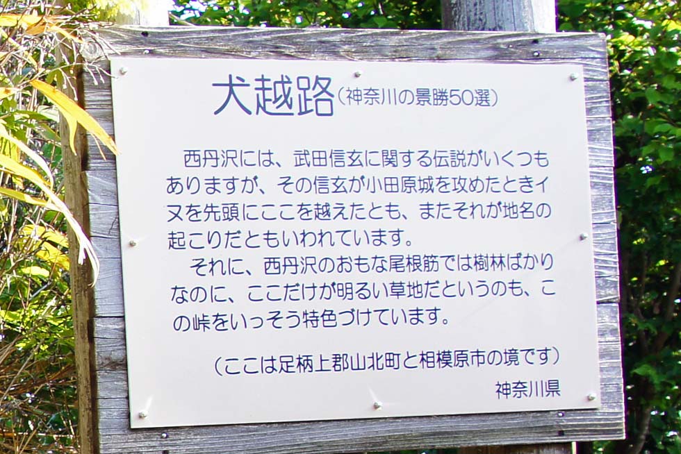イメージ 32