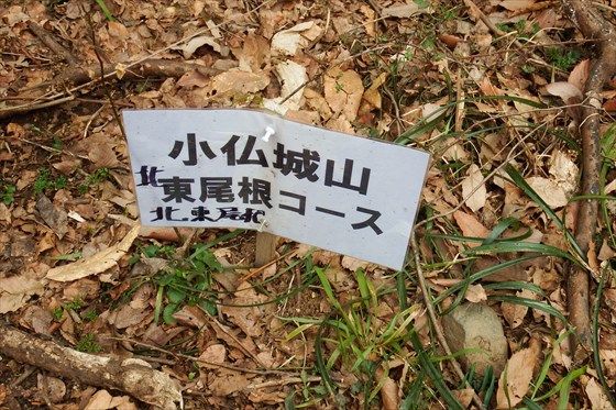 イメージ 14
