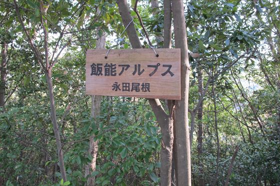イメージ 39