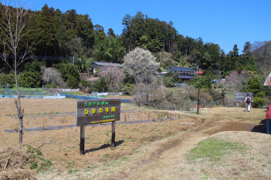 イメージ 9