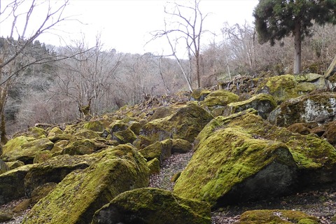 dscn0051