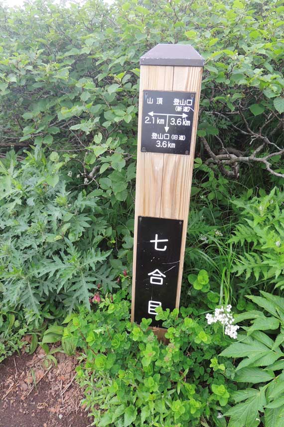 イメージ 24