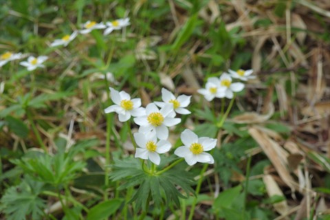 dscn2324