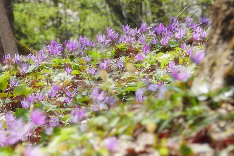 dscn0419