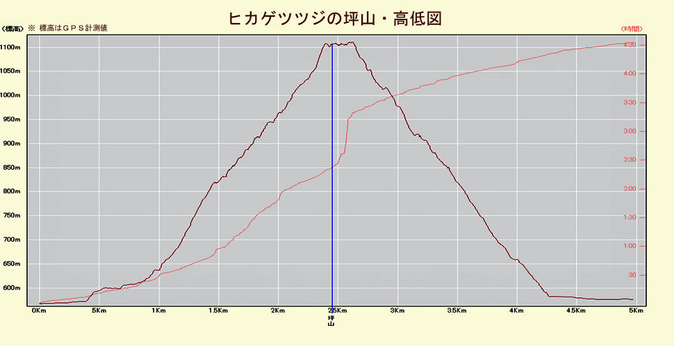 イメージ 34