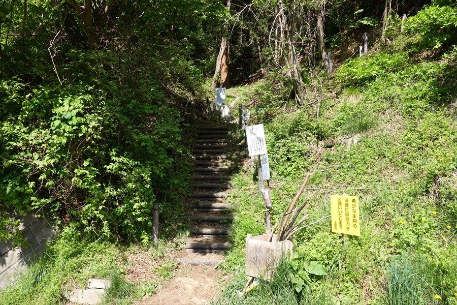 イメージ 3