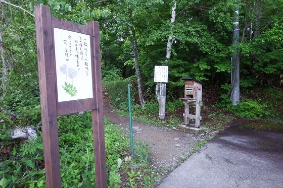 イメージ 6