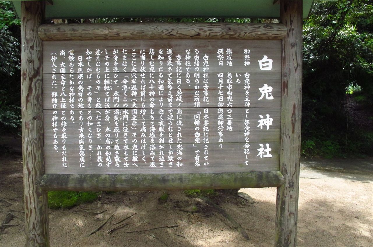 イメージ 20