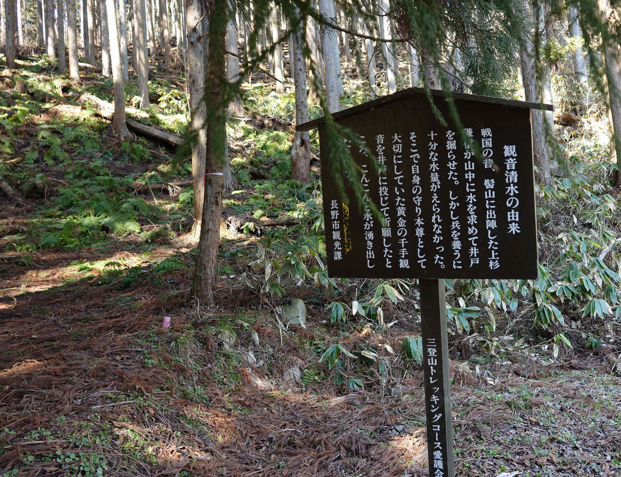 イメージ 10