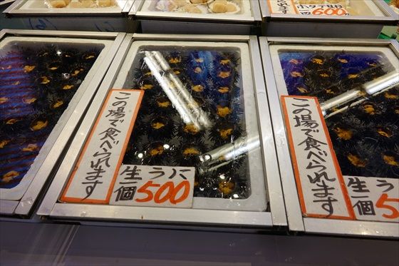 イメージ 21