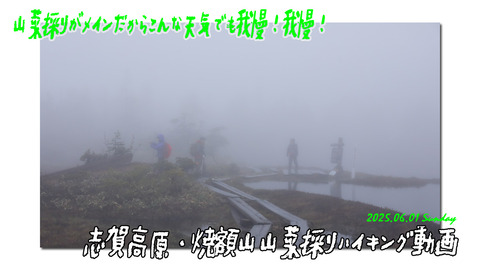 yakebitaidouga0601top1