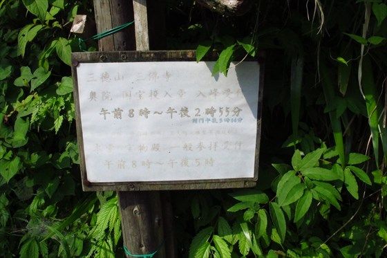 イメージ 16