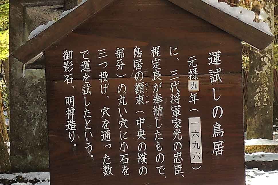 イメージ 7