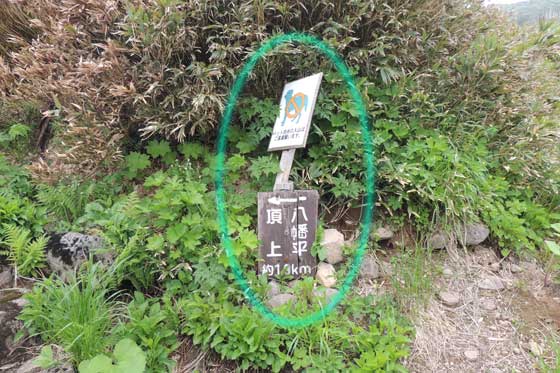 イメージ 12