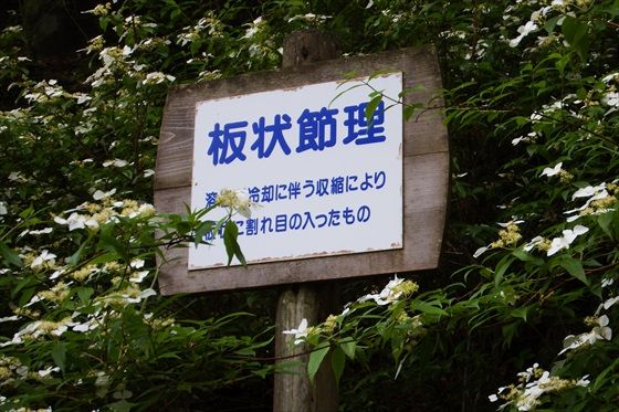 イメージ 45