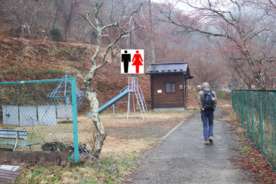 イメージ 8