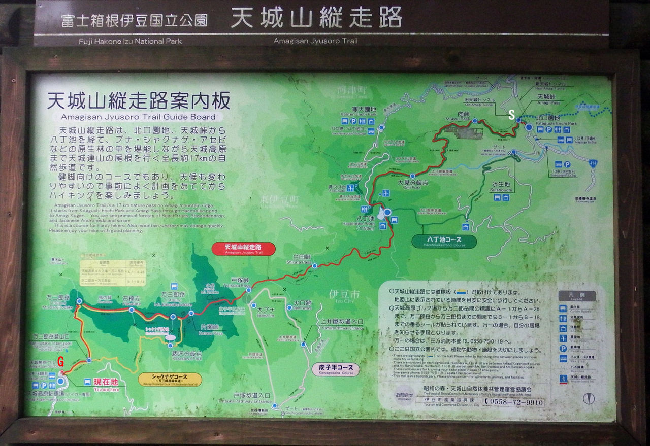 イメージ 5