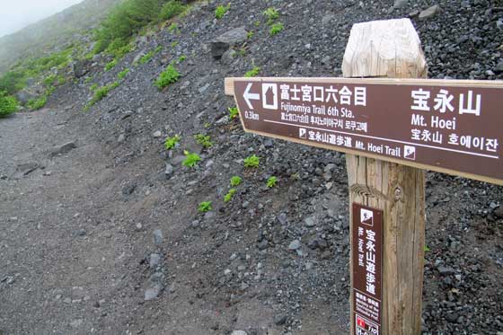 イメージ 17