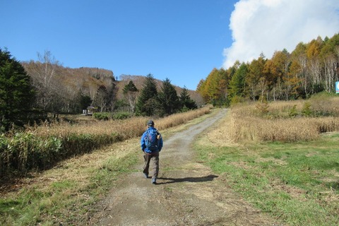 ito2553