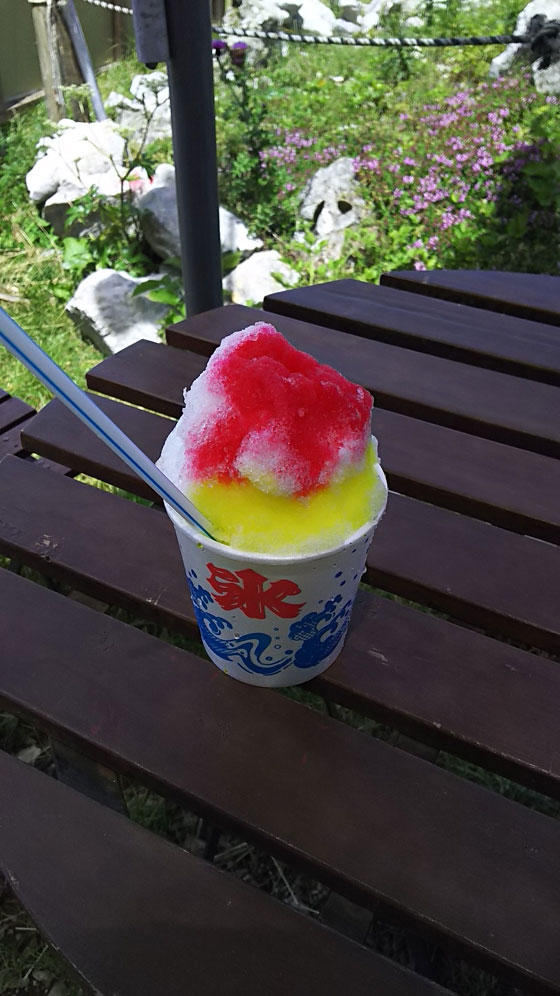 イメージ 29