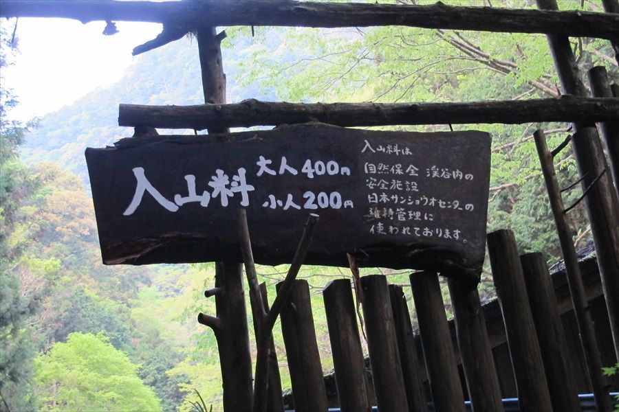 イメージ 9
