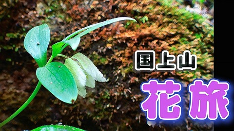 kugamidouga1