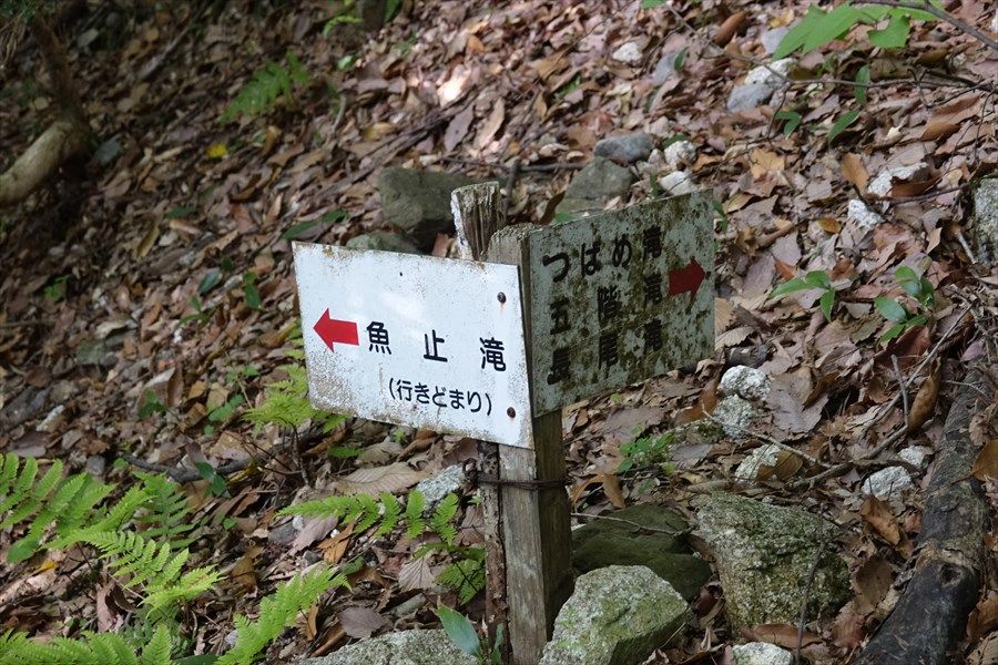 イメージ 12