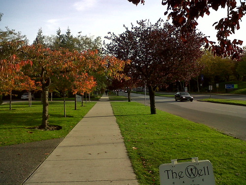 IMG00039-20101027-1601