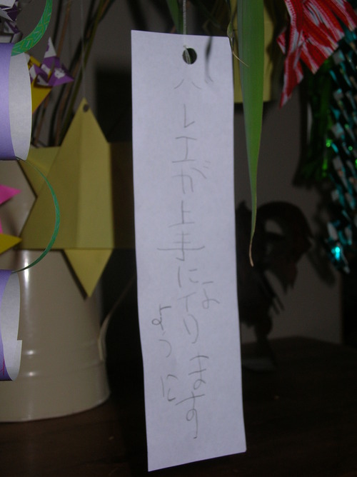 DSCN6455