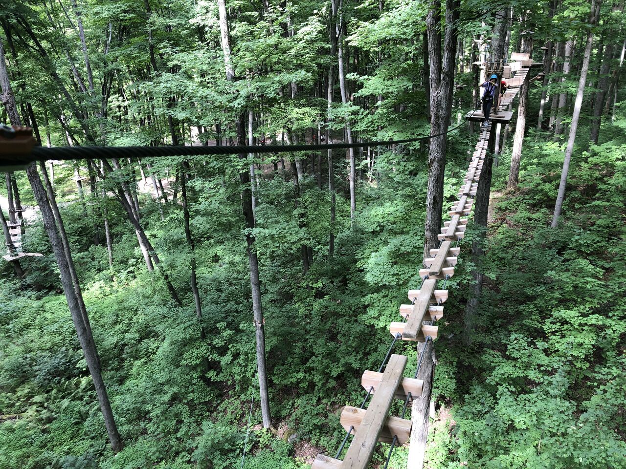 みきTアスレチックツリージム みきTアスレチックツリージム ツリークロスアドベンチャー