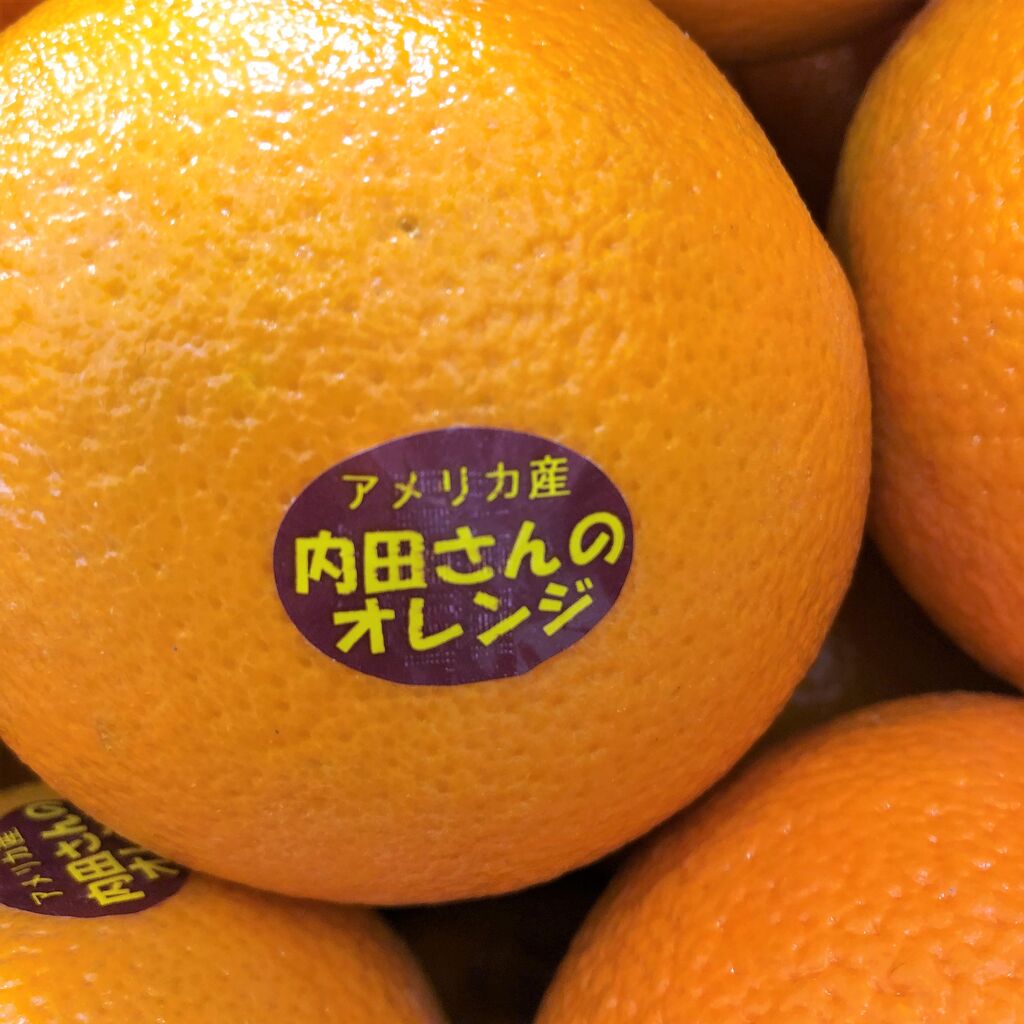【大幅値下げ】看板　ファンタ　オレンジ　オレンヂ　激レア　特大サイズ 最近試した食材＆新しいスーパーマーケット開拓【Fresh Way Foodmart