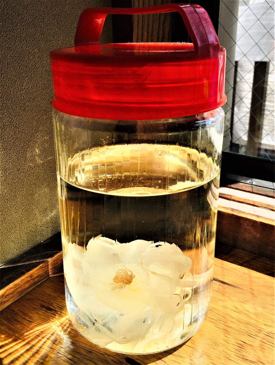 月下美人のお酒を飲みながらカナダを思い カナダ生活 お酒と共に モザイク文化の魅力 月下美人のお酒を飲みながらカナダを思い カナダ生活 お酒と共に モザイク文化の魅力