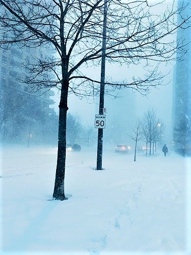 street
