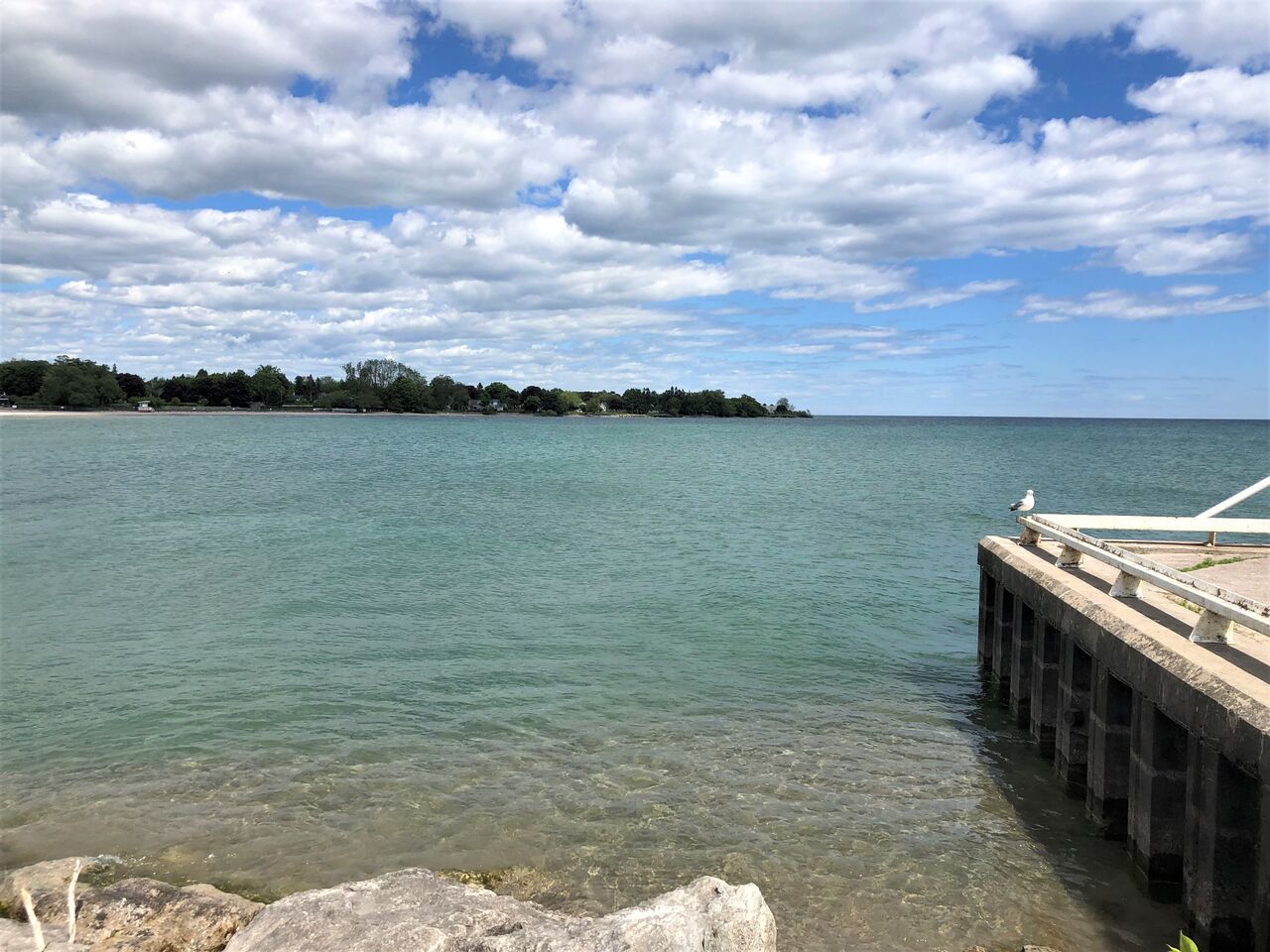 オンタリオ湖のノースショアへ週末ドライブ Cobourg Beach カナダ生活 お酒と共に モザイク文化の魅力 オンタリオ湖のノースショアへ週末ドライブ Cobourg Beach カナダ生活 お酒と共に モザイク文化の魅力