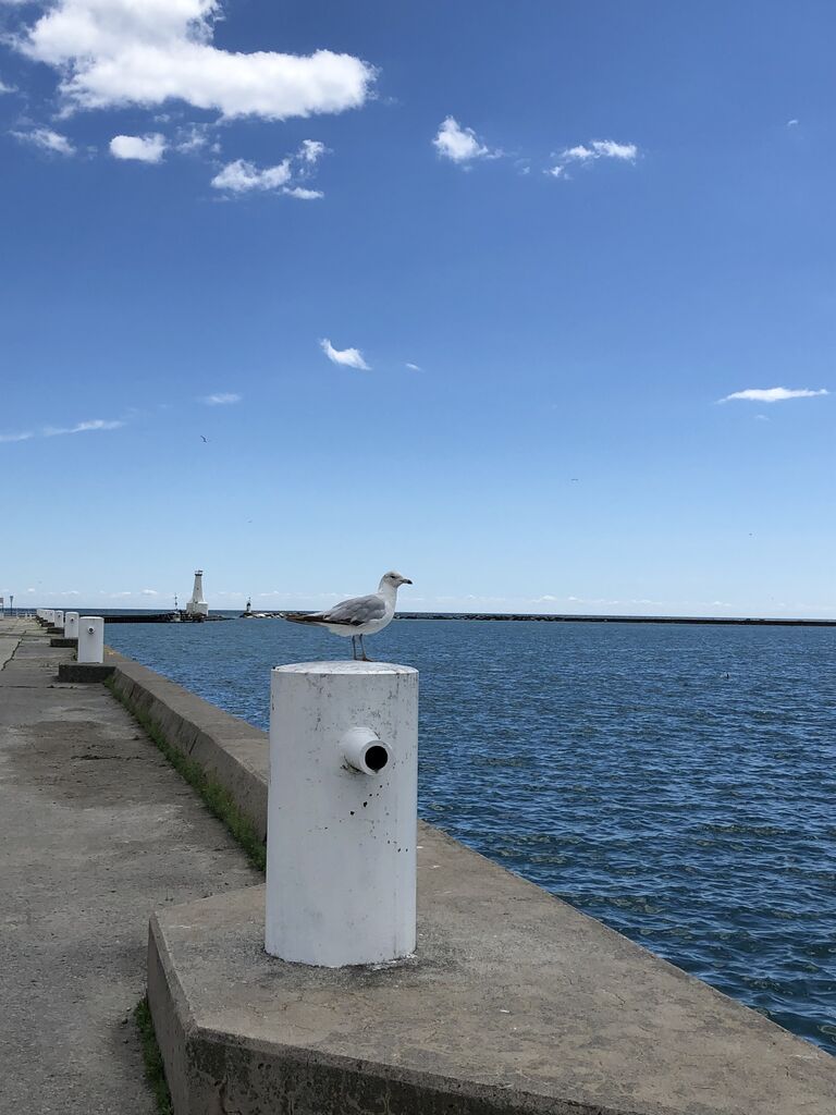 オンタリオ湖のノースショアへ週末ドライブ Cobourg Beach カナダ生活 お酒と共に モザイク文化の魅力 オンタリオ湖のノースショアへ週末ドライブ Cobourg Beach カナダ生活 お酒と共に モザイク文化の魅力