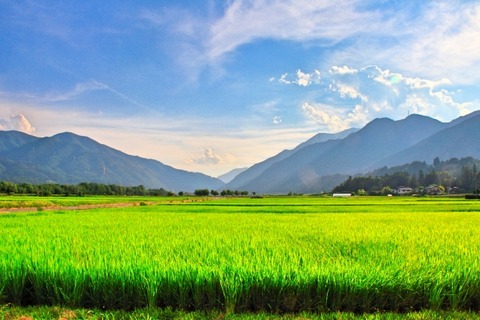 長野の里山