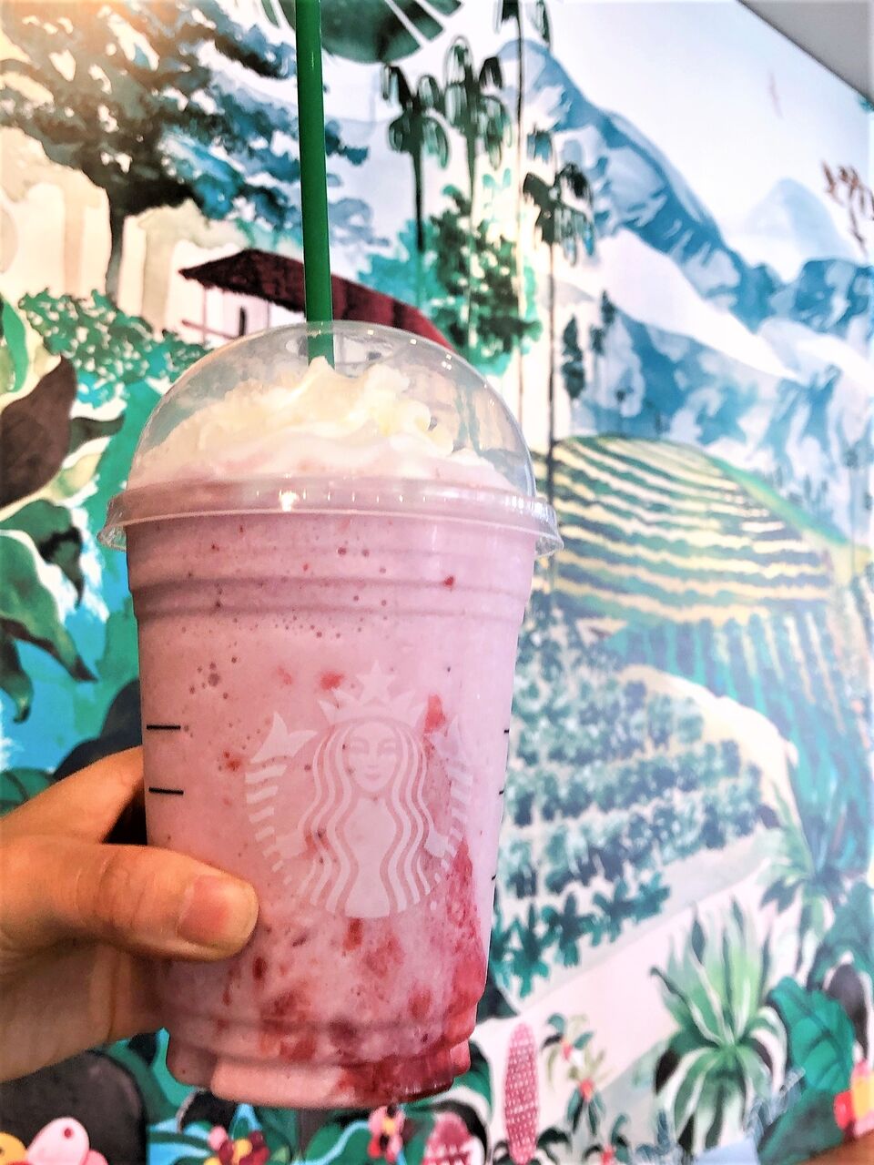 スタバのアプリ活用術 をお勉強中 カナダ生活 お酒と共に モザイク文化の魅力 スタバのアプリ活用術 をお勉強中 カナダ生活 お酒と共に モザイク文化の魅力