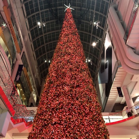 クリスマスツリー　カナダ d72afadd-s.jpg