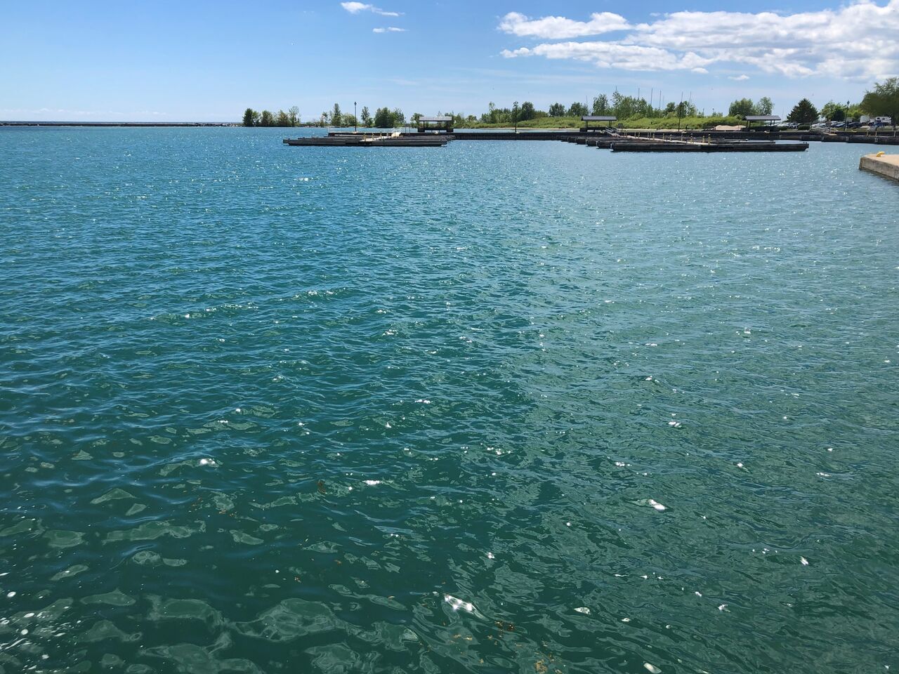 オンタリオ湖のノースショアへ週末ドライブ Cobourg Beach カナダ生活 お酒と共に モザイク文化の魅力 オンタリオ湖のノースショアへ週末ドライブ Cobourg Beach カナダ生活 お酒と共に モザイク文化の魅力