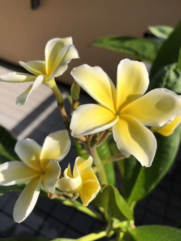 FDC113E4-33D9-4149-8B7E-4EEE0940C409