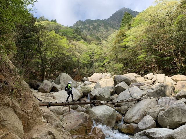 1B3EC8C4-111B-45C9-9B60-912DAD716D40