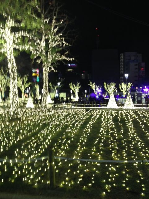 20130111 (1)
