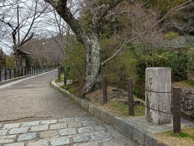 IMG_20250320_142401897_HDR