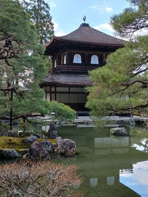 IMG_20250320_151625253_HDR